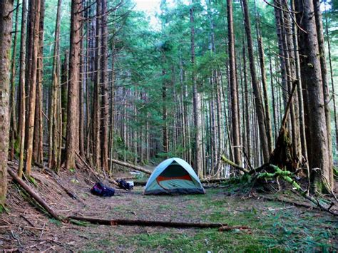 Camping In The Woods Photos Diagrams And Topos Summitpost