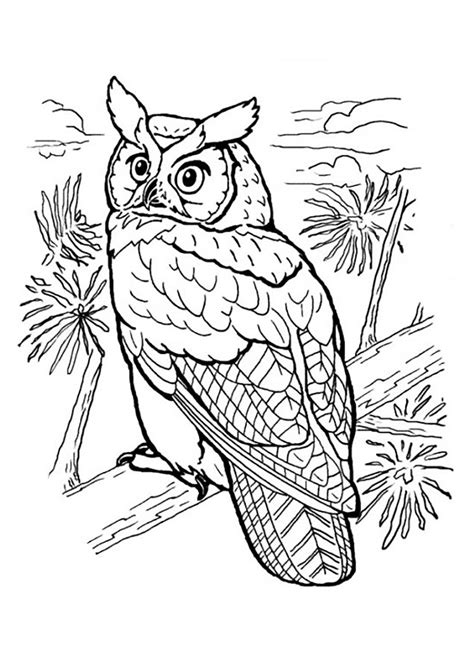 Design Ms Animal Coloring Pages Owl Coloring Pages De