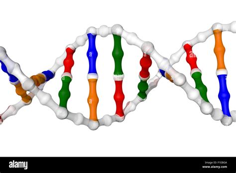 Simplified Dna Helix Stock Photo Alamy