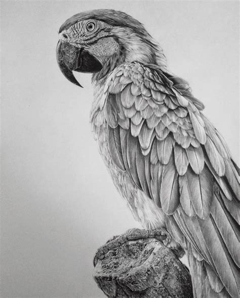 Simply Creative: Hyper-Realistic Graphite Drawings By Monica Lee