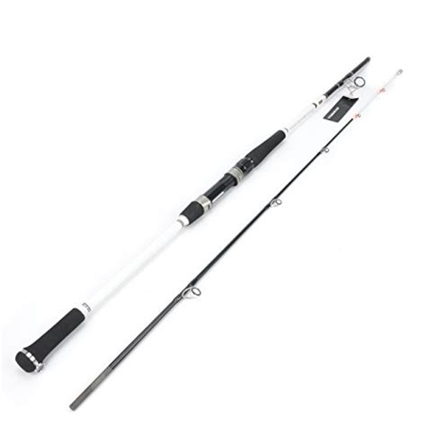 Best Saltwater Fishing Rods 2021 Reviews