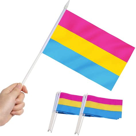 Anley Pansexual Pride Miniature Flag 5x8 Inches Handheld Stick Flag 1 Dozen