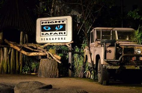 Night Safari In Singapore An Electrifying Experience