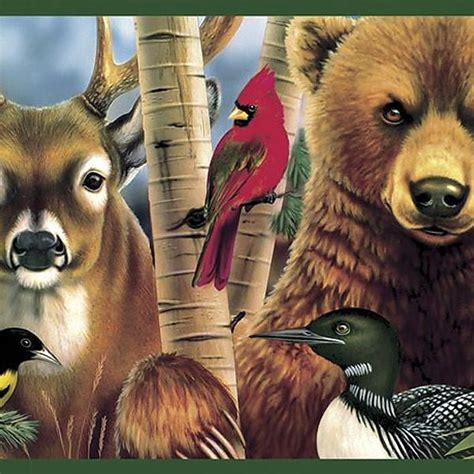 Woodland Animal Wallpaper Wallpapersafari