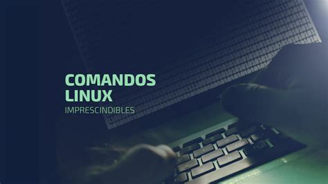 Comandos Linux Que Te Facilitar N La Vida El Blog De Dinahosting