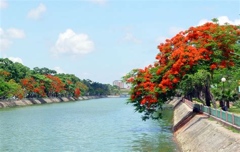 Haiphong is an industrial city and you can feel it in the air as soon as you enter. Thành phố Hoa phượng đỏ, Hải Phòng