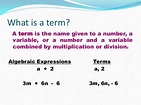 Algebraic expressions and terms