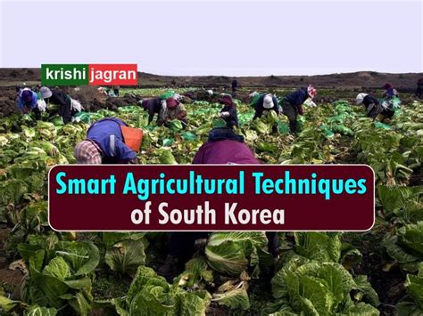 Amazing How Smart Farming Techniques By South Korea Can Future Proof