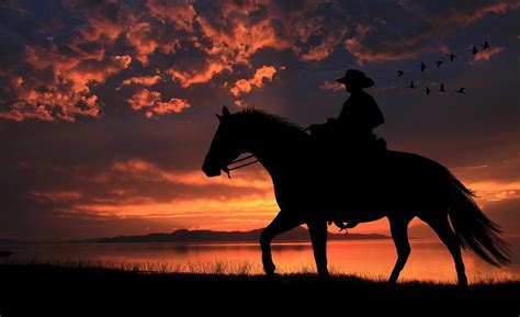 Cowboy Sunset Clip Art