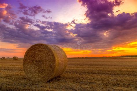 Sunset Over Farm Field With Hay Bales Stock Image Image Of Harvest