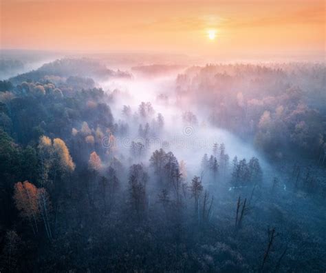 Aerial View Of Foggy Forest And Meadows At Sunrise In Autumn Stock
