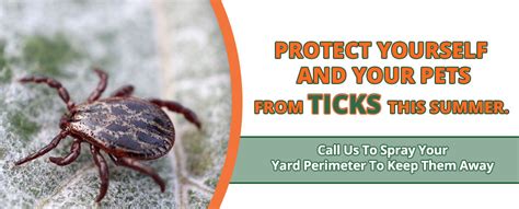 Read about their experiences and share your own! X-Team Termite and Pest Control