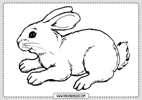 Colorear Fichas Dibujo De Conejo Rincon Dibujos
