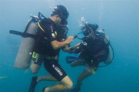 Koh Tao Diving Courses Crystal Dive Scuba Diving Thailand