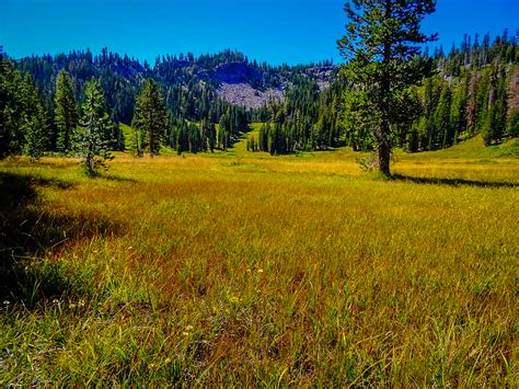 Lassen Volcanic Runs With Red California Fall Color