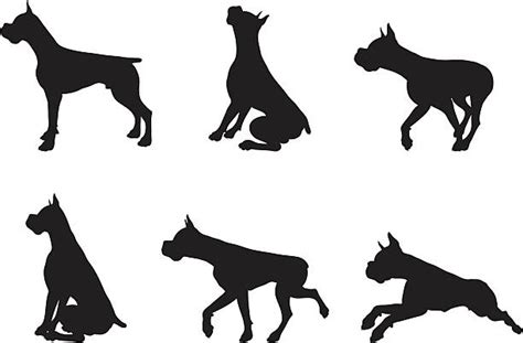 Black Boxer Dog Silhouettes Illustrations Royalty Free Vector Graphics