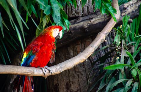 La Côte Dazur Avec Un Enfant Visite Du Jardin Animalier De Monaco