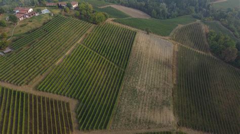 Vineyard Aerial View In Langhe Piedmont Italy 15286356 Stock Video At
