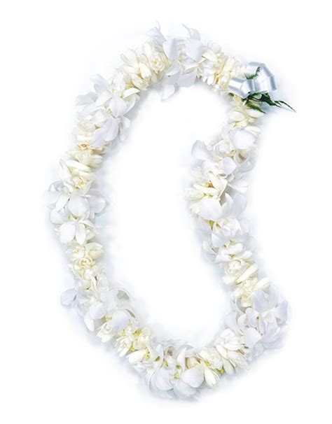Fresh Hawaiian Orchid Leis And Loose Orchid Blooms