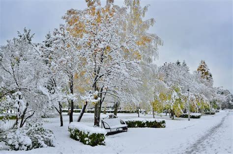 Bright Colors Of Autumn Park Covers The First Snow Stock Image Image