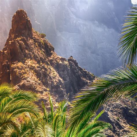 6 Best Hiking Trails In The Canary Islands │ Canarystay