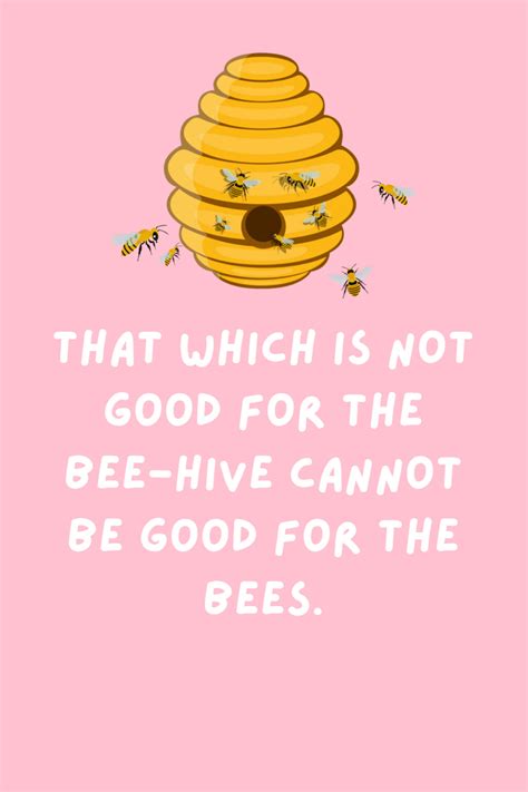 The Sweetest Honey Bee Quotes Captions Darling Quote
