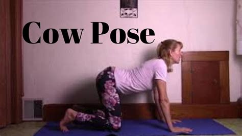 Cow Pose This Yoga Video Will Go In Depth With Cow Pose It Will Teach You The Basics Youtube