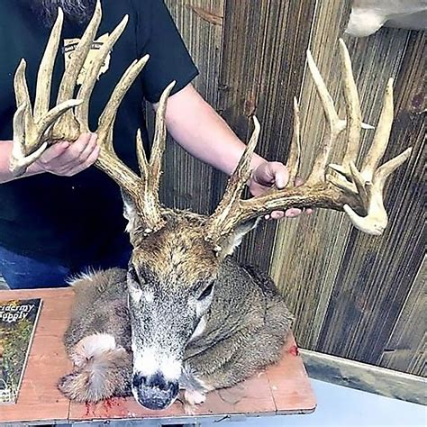 Ohio Man Fined 28k Loses Hunting License For Poaching 26 Point Buck