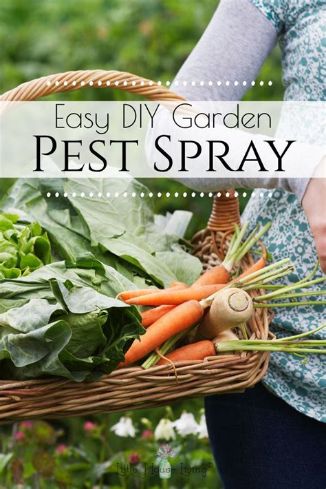 If you have the ingredients to make it, this is the best bug spray recipe i've found. Homemade Pest Spray for Gardens | Pest spray, Organic bug spray, Garden pest spray