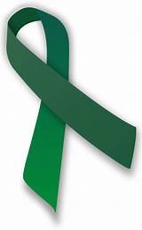 Awareness ribbon Green ribbon Chronic fatigue syndrome Cerebral palsy - ribbon png download ...