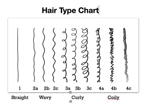 4 Types of Hair: Exploring the Different Hair Types and How to Embrace