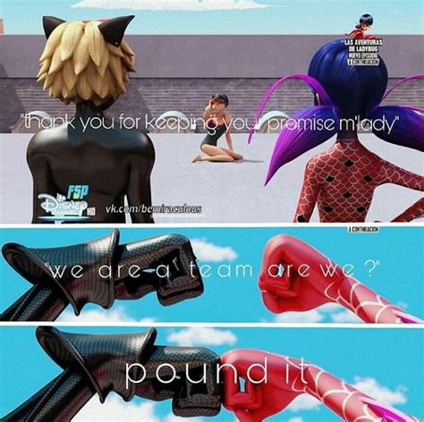 Pound It Miraculous Ladybug Funny Miraculous Characters Miraculous