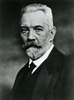 Theobald von Bethmann Hollweg | The Kaiserreich Wiki | Fandom