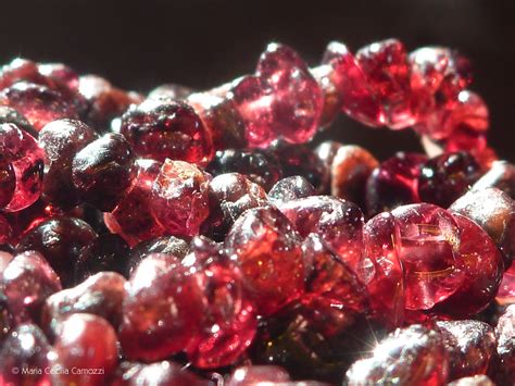 Deep Red Garnet Garnets Are A Related Group Of Minerals M Flickr