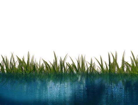 Water Lake With Grass Png Transparent Background Free Download 39972