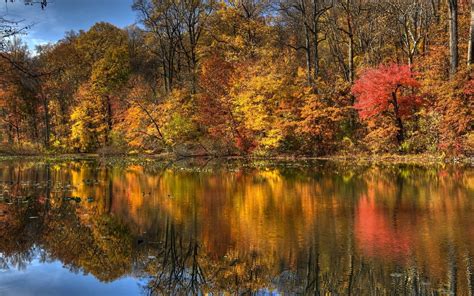 Wallpaper 1920x1200 Px Fall Landscape Nature Trees Water