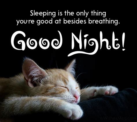 70 Funny Good Night Messages And Wishes Wishesmsg