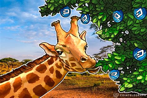 Dashs Baby Giraffe Govts Could Target Businesses That Seek To