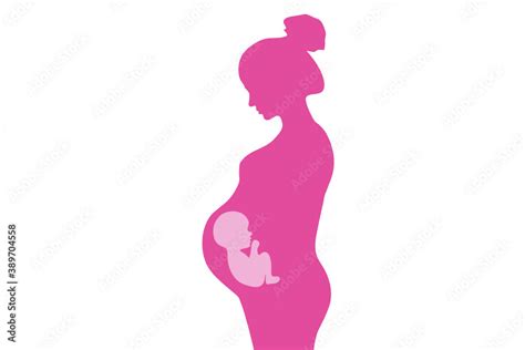 silhouette of a beautiful pregnant woman with the unborn fetus in the womb pregnancy concept