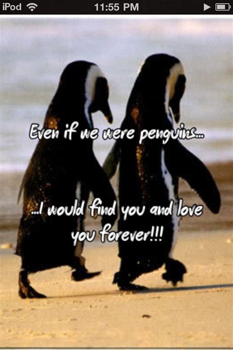 It is difficult to find happiness within oneself, but it. Penguin love