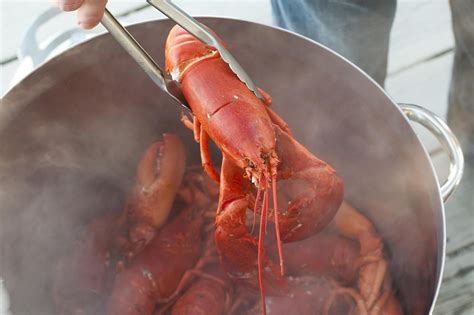 Basic Boiled Lobster Recipe