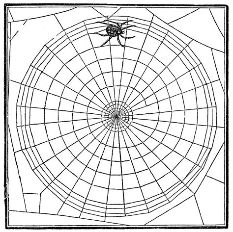Vintage Clip Art Spiderweb And Spider Halloween The
