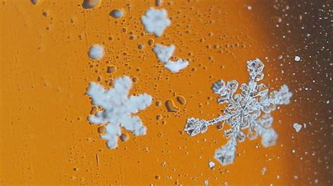 World Record For Giant Snowflakes Register The Times
