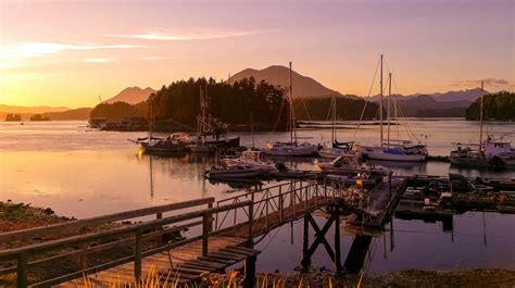 Reasons Everyone Should Visit Vancouver Island At Least Once