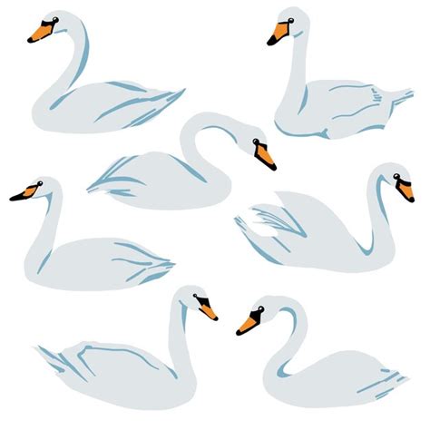Premium Vector Swan Cartoon Set Vector Illustration