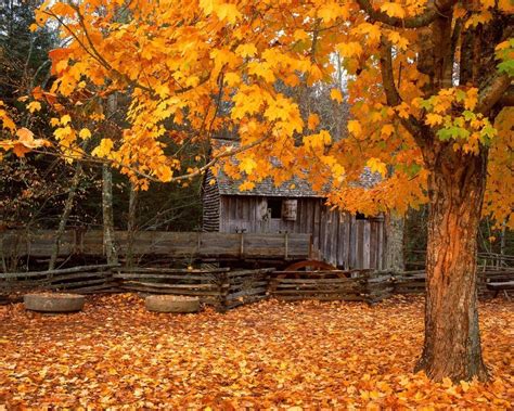 Smoky Mountain Autumn Desktop Wallpapers On Wallpaperdog
