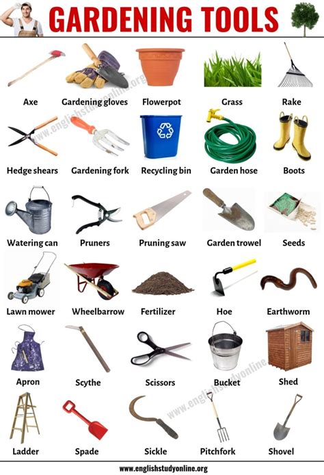 Gardening Tools: List of 44 Useful Tools Names for Gardening - English gambar png