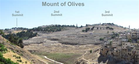 Mount Of Olives Jerusalem 101