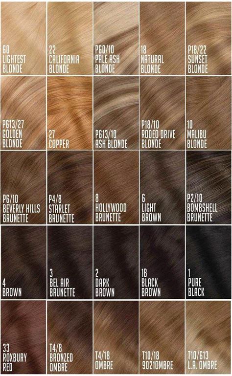 40 shades of brown hair color chart to suit any complexion shades of brown hair color hair