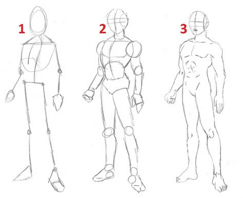 Human Figure Sketches Human Sketch Human Figure Drawing Body